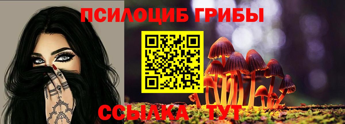 Магнитогорск  Галлюциногенные грибы Psilocybe  Вход с VPN 